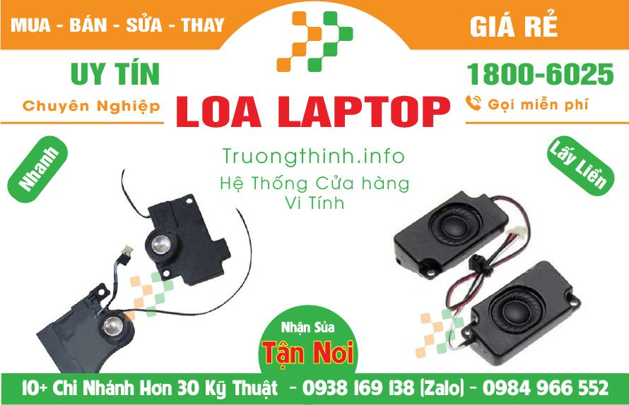 Hình ảnh tổng thể loa laptop cần được thay thế, sửa chữa
