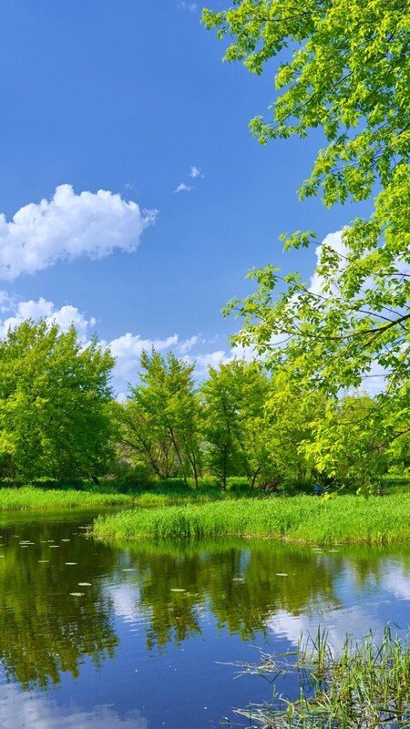 Hình nền điện thoại với dòng suối yên bình