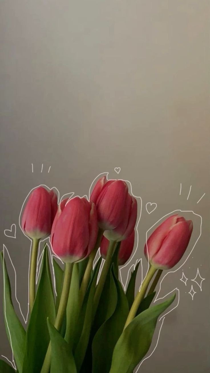 Hình nền hoa tulip cho máy tính thư thái