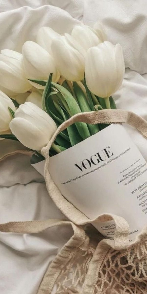 Hình nền laptop 4K hoa tulip trắng tinh khôi, nền mờ ảo