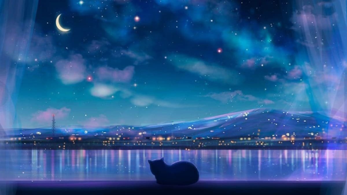 Hình nền laptop con mèo anime ngắm cảnh thành phố đêm huyền ảo, tạo không gian lãng mạn cho màn hình desktop