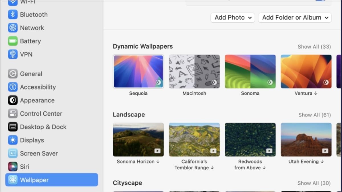 Hình nền laptop con mèo trên MacOS, minh họa các bước cài đặt dễ dàng, mang lại vẻ đẹp thanh lịch