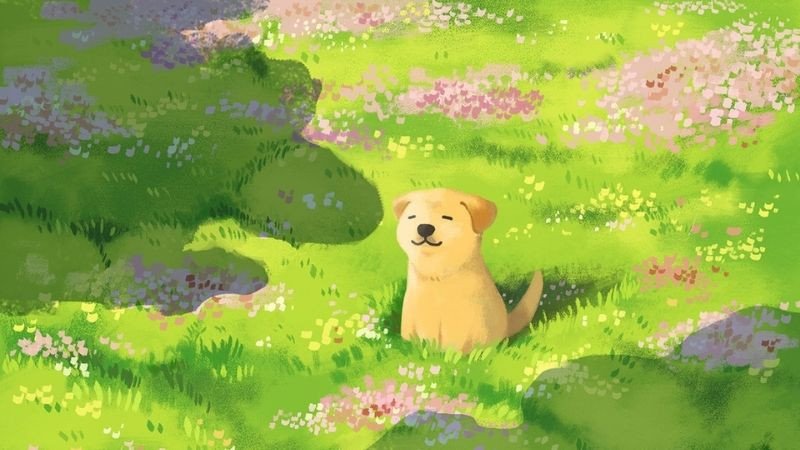 Hình nền laptop cute chú mèo con đáng yêu