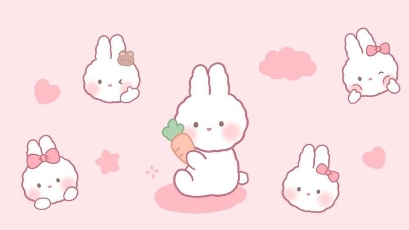 Hình nền laptop dễ thương cô gái mặc áo hồng