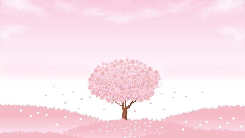 Hình nền laptop dễ thương với những ngôi sao màu hồng