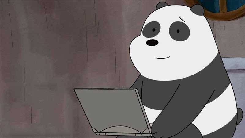 hình nền laptop gấu trúc Panda We Bare Bears