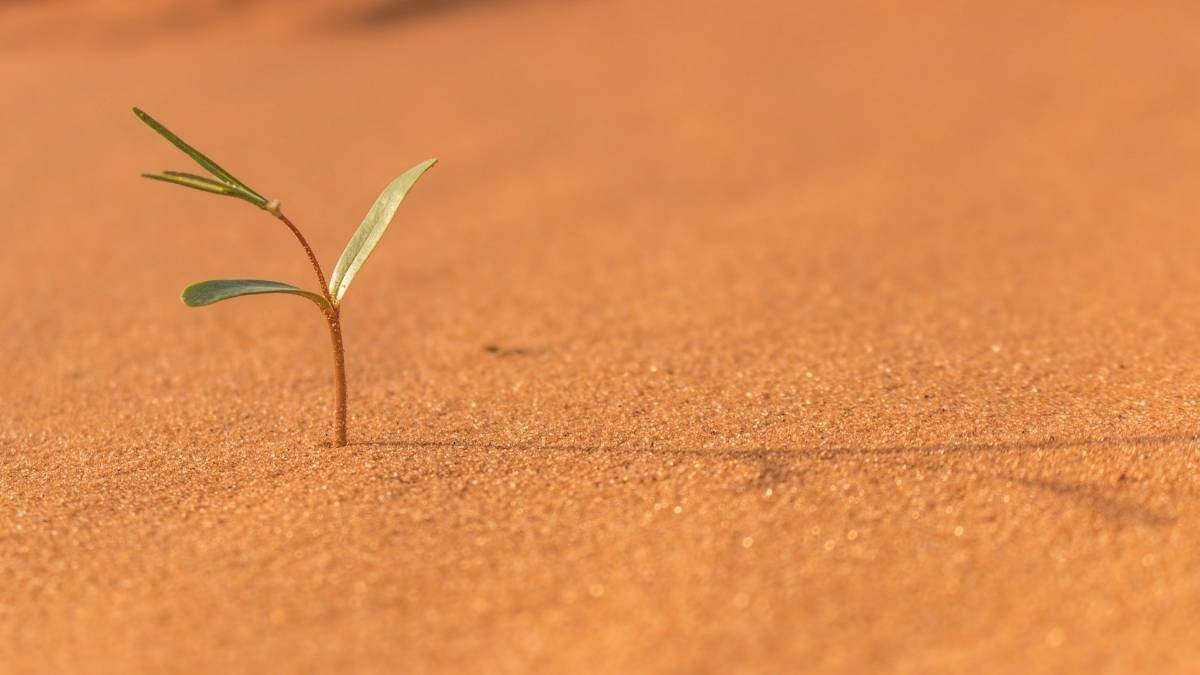 Hình nền laptop thu hút tài lộc cho người mệnh Thổ với hình ảnh đồi núi vững chãi