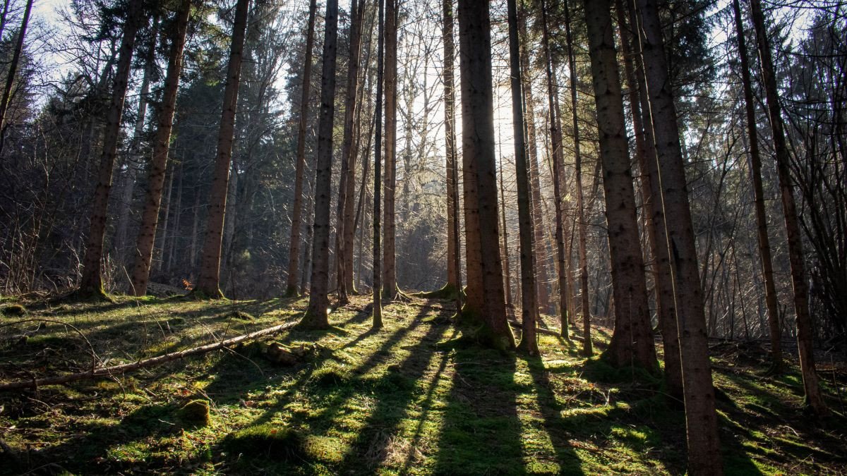 Hoàng hôn rực rỡ trên bãi biển làm hình nền thiên nhiên 4k cho laptop thêm sống động