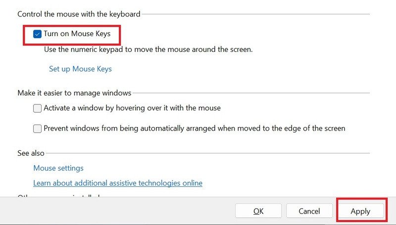 Kích hoạt Turn on Mouse Keys và nhấn Apply
