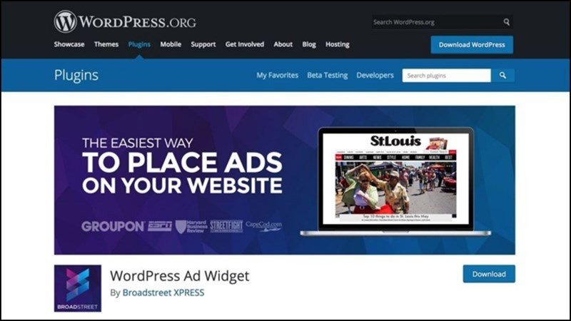 kiếm tiền từ quảng cáo trên website