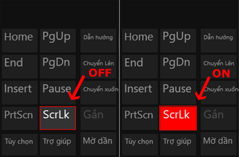 Kiểm tra phím Scroll Lock ảo để tắt nó trên laptop HP