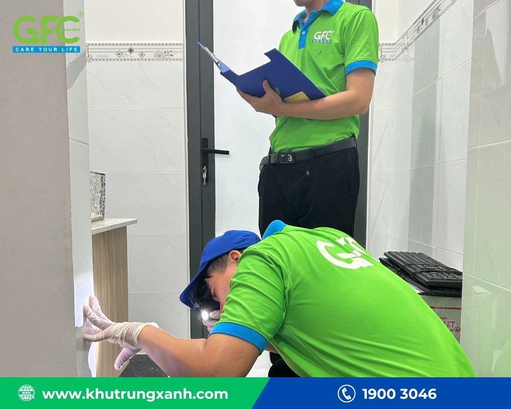 Kỹ thuật viên chuyên nghiệp kiểm tra và xử lý diệt mối tại Nghệ An