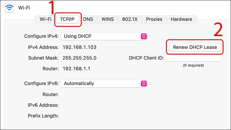 Làm mới DHCP Lease để giải quyết vấn đề laptop không vào wifi được trên MacBook