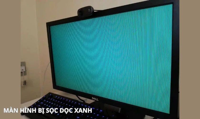 Laptop bị sọc dọc màn hình màu xanh