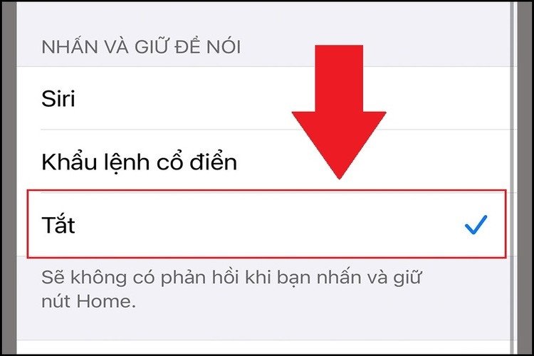 Màn hình cài đặt giải thích các tùy chọn để tắt hoặc bật khẩu lệnh Siri và Voice Control trên iPhone.
