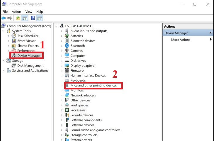 Màn hình Device Manager hiển thị các thiết bị đã kết nối