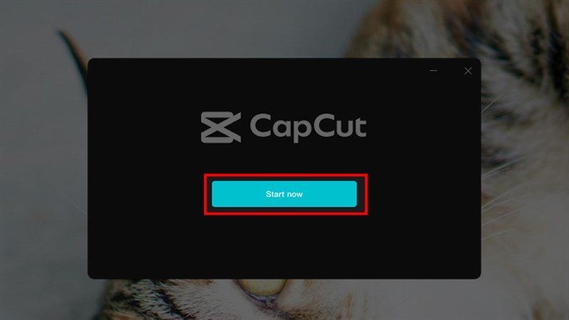 Màn hình hoàn tất cài đặt CapCut cho máy tính, nút Start now