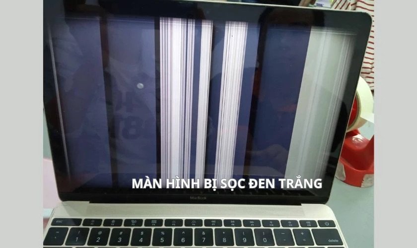 Màn hình laptop bị sọc đen trắng