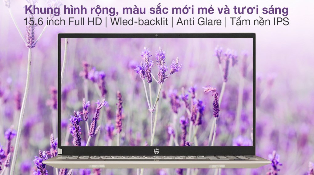 Màn hình tươi sáng của HP Pavilion 15 inch hiển thị sắc nét