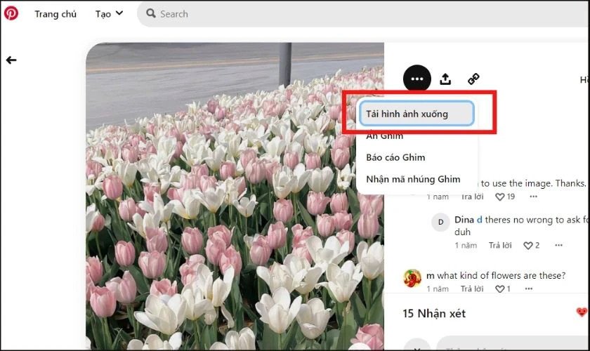 Menu tùy chọn tải ảnh trên Pinterest, giúp người dùng lưu về laptop