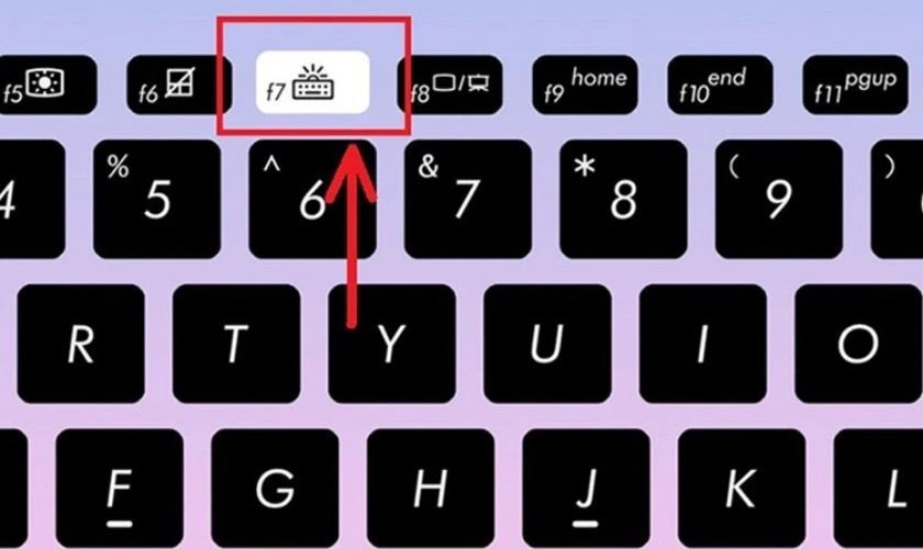 Minh họa phím tắt Fn và Space để bật đèn bàn phím laptop Asus TUF Gaming F15