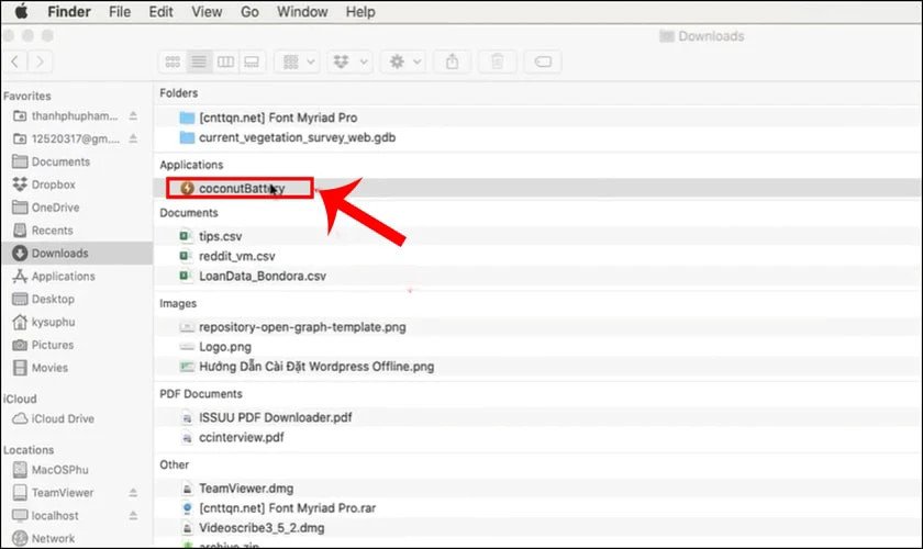Mở file đã tải xuống và chạy ứng dụng Coconut Battery trên macOS