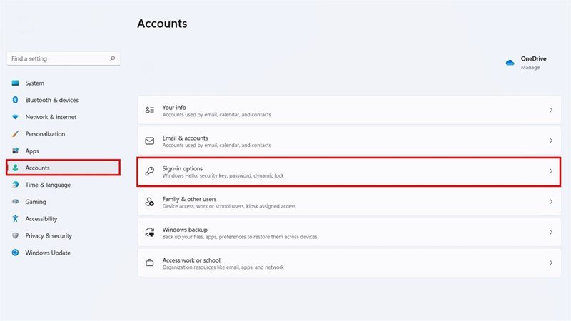 Mục Sign-in Options trong phần Accounts của Windows 11
