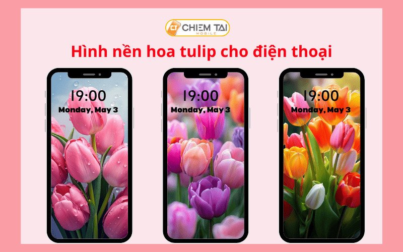 Nền điện thoại hoa tulip 4K dễ thương