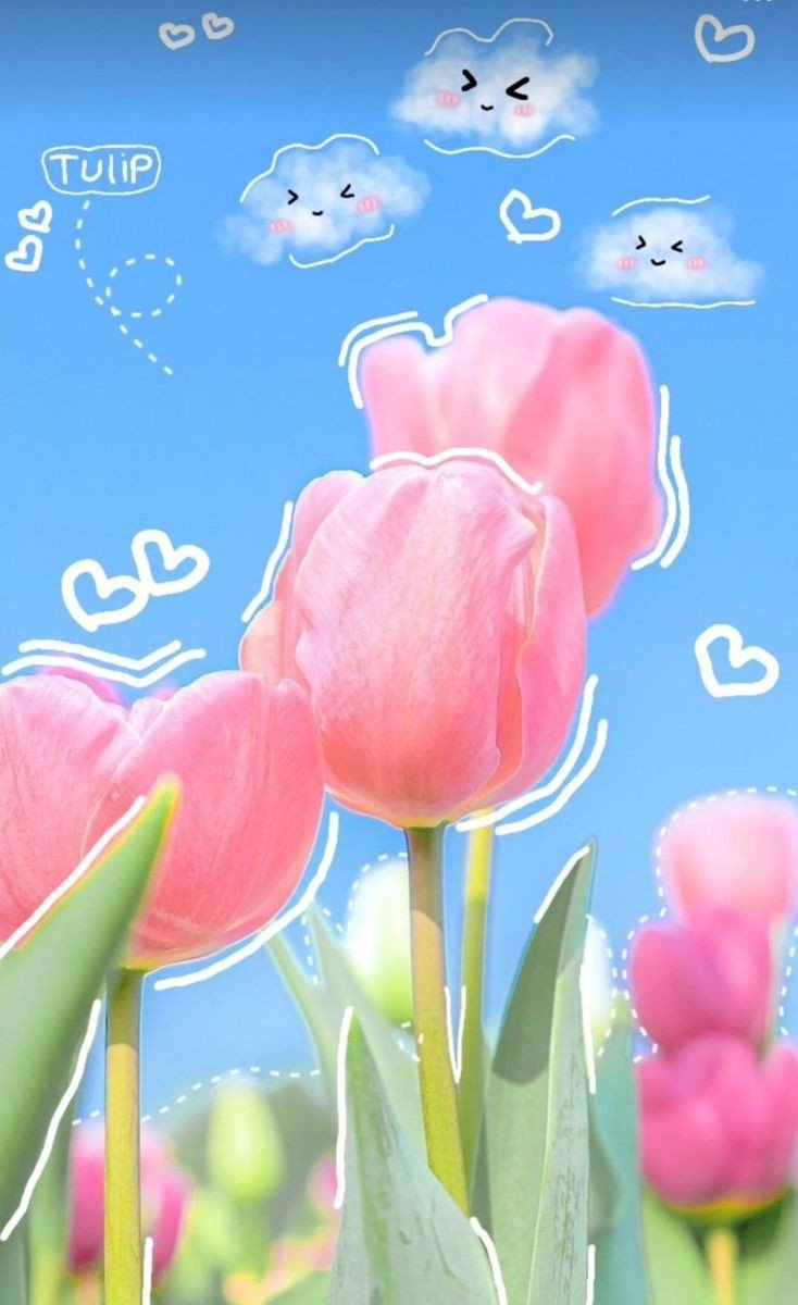 Nền laptop hoa tulip cute 4K