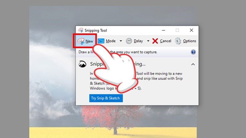 Người dùng chọn chức năng New trong Snipping Tool để bắt đầu chụp hình màn hình laptop.