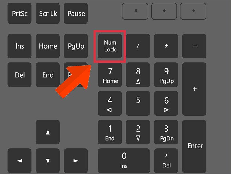Người dùng đang bật Num Lock và giữ phím Alt trên bàn phím laptop để gõ ký tự đặc biệt