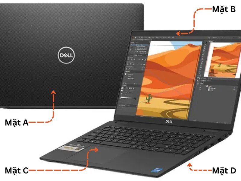 Người dùng đang chọn lựa mẫu laptop với mặt A phù hợp nhu cầu, cách chọn mua vỏ laptop