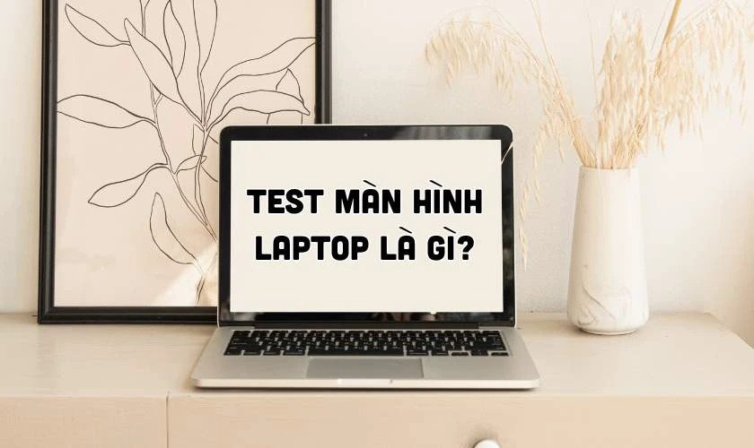 Người dùng đang kiểm tra chất lượng hiển thị và độ sáng của màn hình laptop