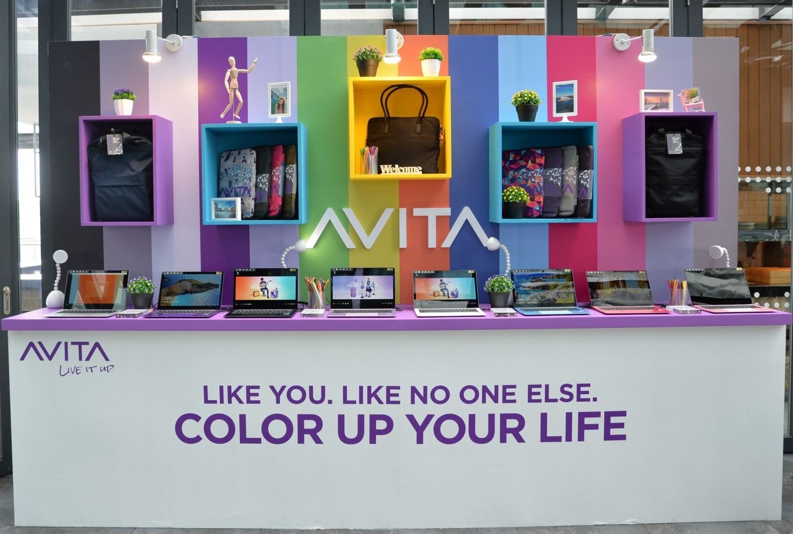 Người dùng làm việc trên laptop Avita màu hồng, minh họa cho sự đa dạng màu sắc và thiết kế của thương hiệu đến từ Hồng Kông.