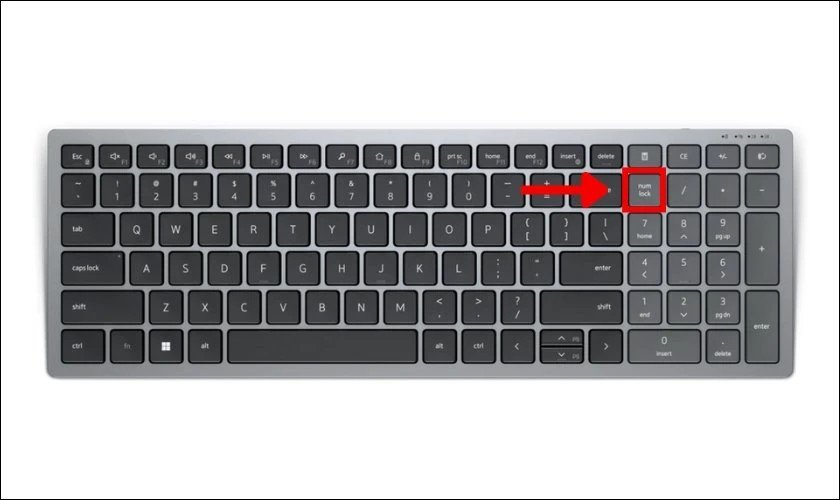 Người dùng nhấn phím NumLock để mở khóa cụm bàn phím số trên laptop Dell full size