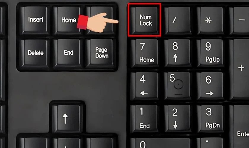 Người dùng nhấn phím NumLock trên bàn phím laptop Lenovo