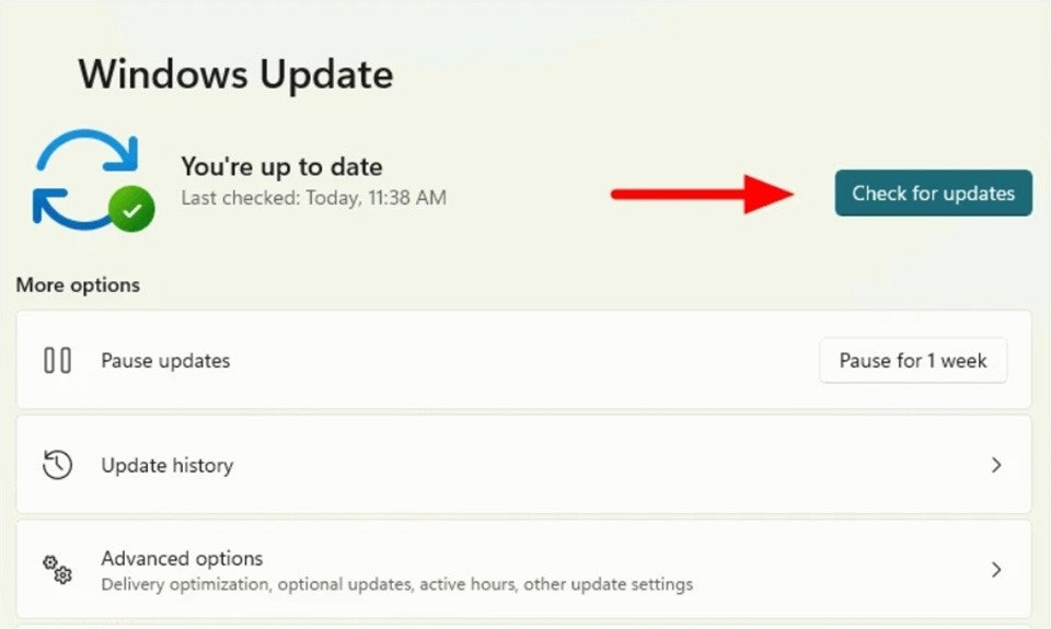 Nhấn Check for updates để xử lý màn hình laptop bị đen Win 11