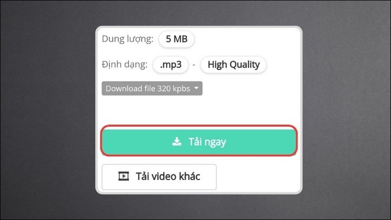 Nhấn Tải ngay để hoàn tất quá trình tải nhạc từ YouTube