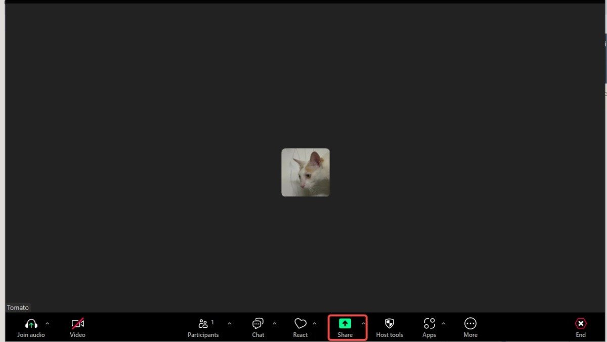Nhấp vào biểu tượng Share Screen khi dùng Zoom trên máy tính laptop