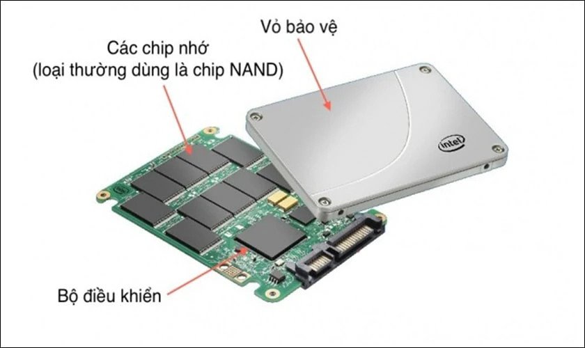 Ổ đĩa SSD SATA và NVMe