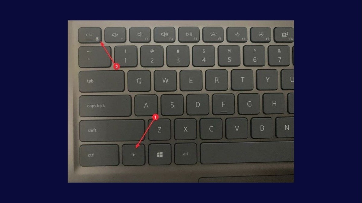 Phím Fn Lock giúp khóa chức năng Fn trên bàn phím laptop HP