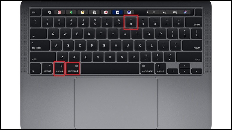 Phím tắt Option + Command + 8 để kích hoạt tính năng zoom trên MacBook.