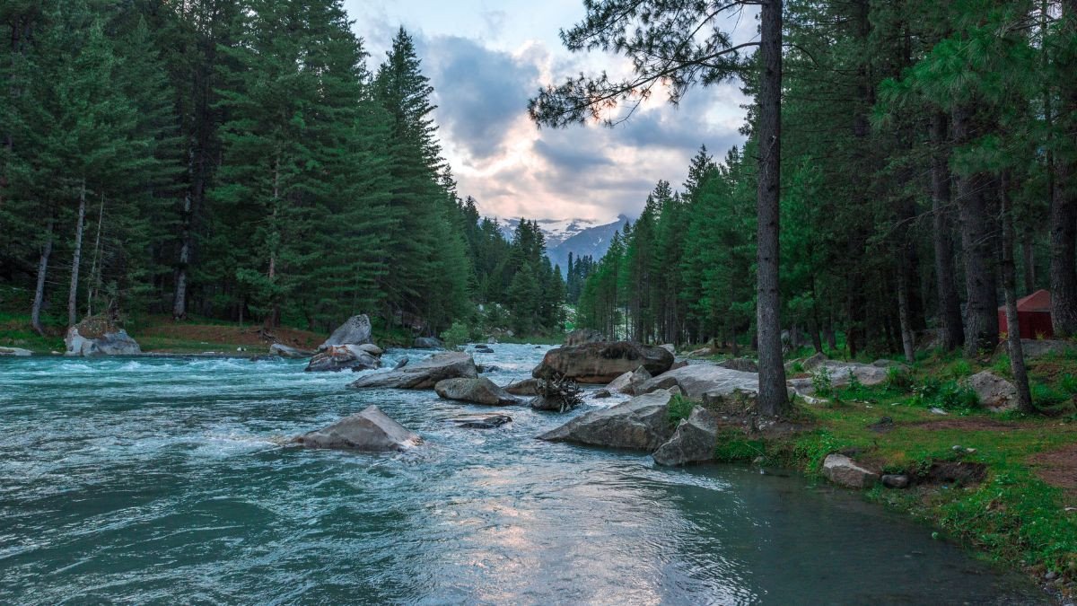 Phong cảnh núi non hùng vĩ với cây xanh và sương mù che phủ