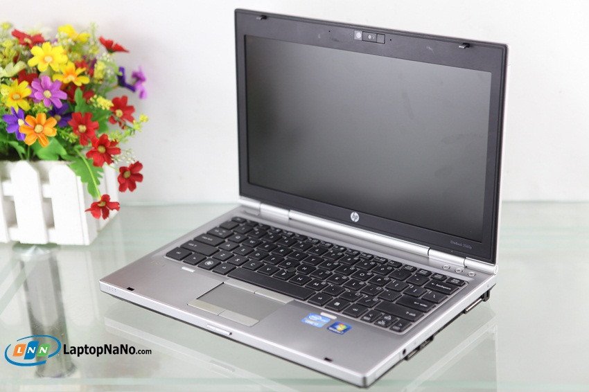 Sinh viên học online trên máy tính xách tay, thực hiện thủ tục mua laptop trả góp dễ dàng