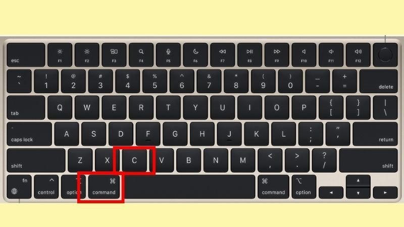 Sử dụng Command + C để sao chép văn bản trên laptop trong Word