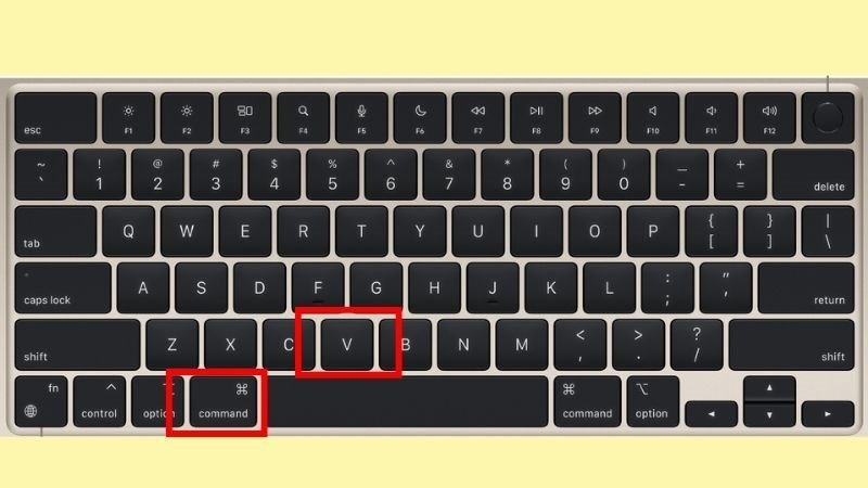 Sử dụng Command + V để dán văn bản đã sao chép trên laptop trong Word