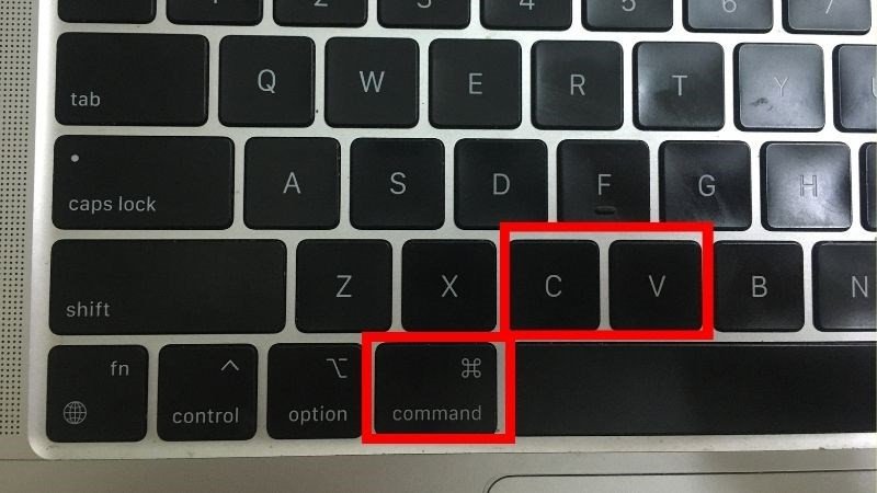 Sử dụng tổ hợp phím Command, C, V để sao chép văn bản trên laptop MacBook