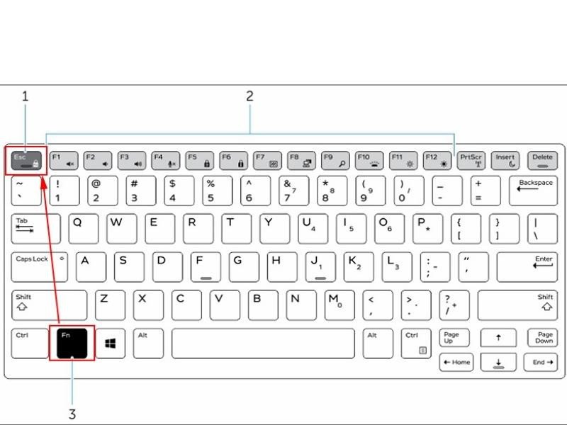 Thao tác bật tắt phím Fn trên laptop Dell bằng cách kết hợp phím Fn và Esc.