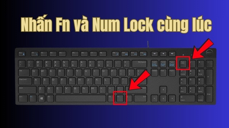 Thao tác nhấn tổ hợp phím Fn và Numlock để khắc phục lỗi gõ số thay chữ trên laptop