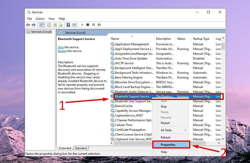 Thiết lập thuộc tính Bluetooth Support Service